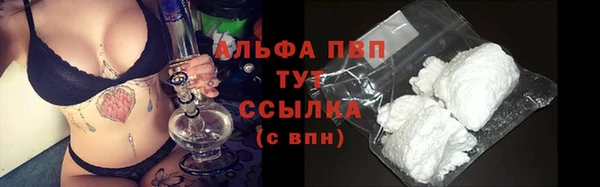 хмурый Зеленокумск